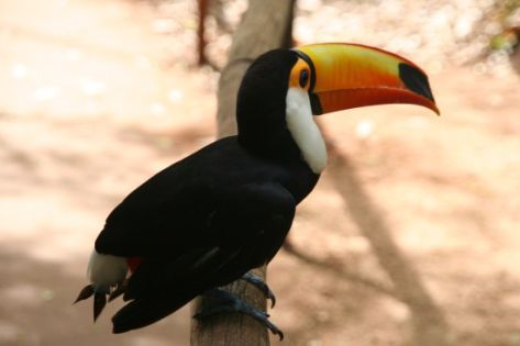 Екскурзии Южна Америка