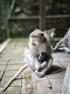 оферти Шри Ланка