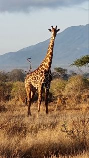 оферти Екзотика Кения