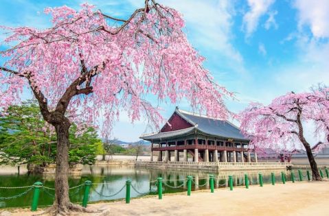 2025 Екскурзии в Южна Корея