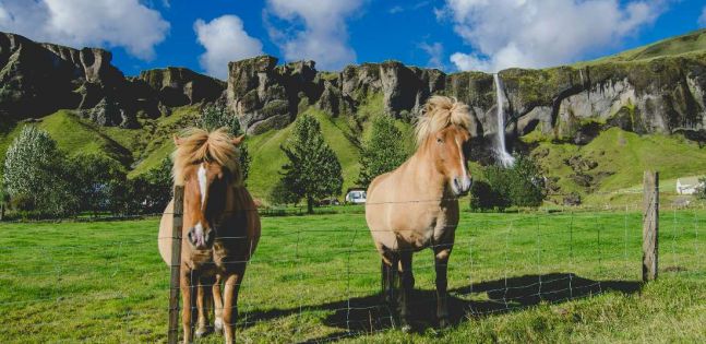 Исландия - страната на елфите, троловете и северното сияние - октомври 2026