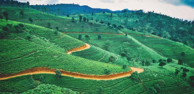 оферти Шри Ланка