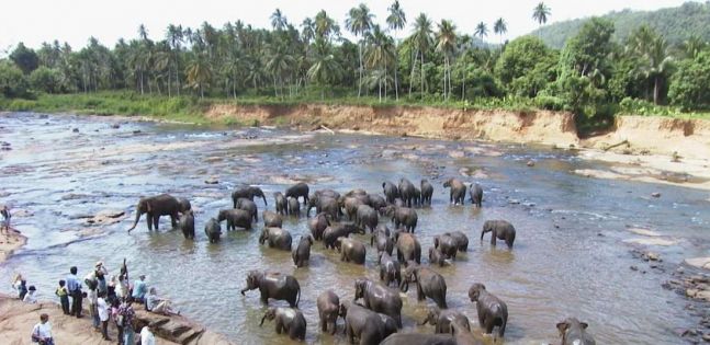 Шри Ланка - декември 2025 - промоция - 350 лева отстъпка