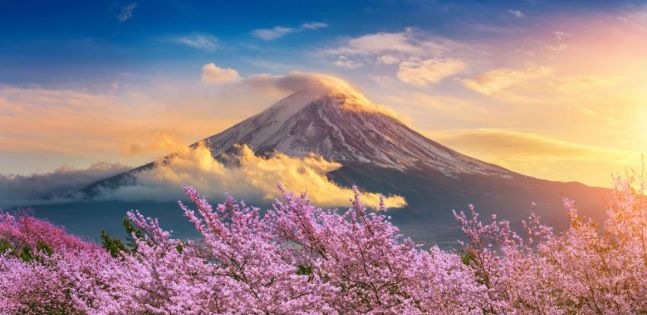 Величието на Япония по време на цъфтежа на вишните - вариант 2