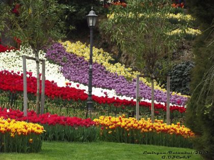 Екскурзия в ТУРЦИЯ - Фестивал на лалетата - Истанбул  /4 нощувки/