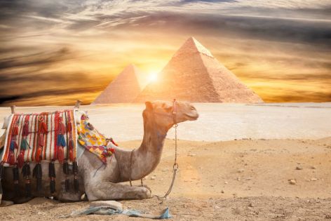 Оферти Египет