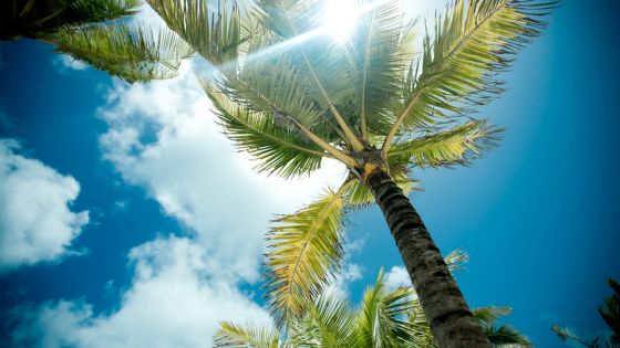 САЩ - Източно и Западно крайбрежиe, с круиз по Бахамите -  10.07.2025