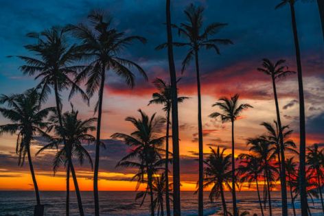 САЩ - Западно крайбрежие 09.04.2026, 12.05.2026, 23.06.2026, 22.09.2026