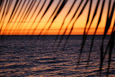 Оферти Куба