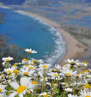 Оферти Турция