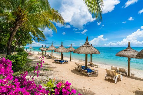 Оферти Занзибар