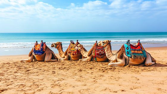 Нова Година 2026 в Шарм ел Шейх, Египет със самолет от София - 4 нощувки