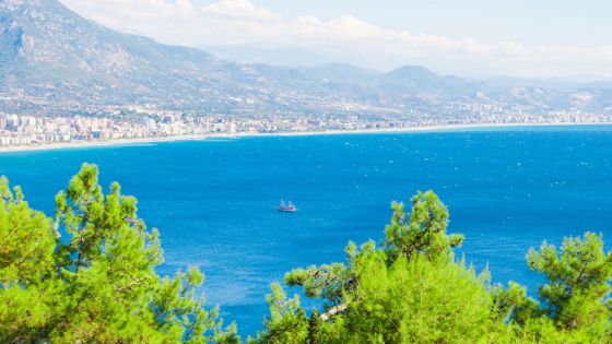 Оферти Турция