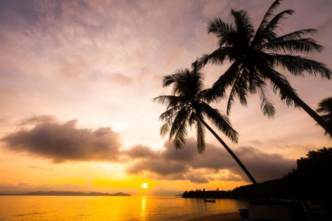 Оферти Турция