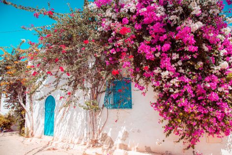 Оферти Тунис