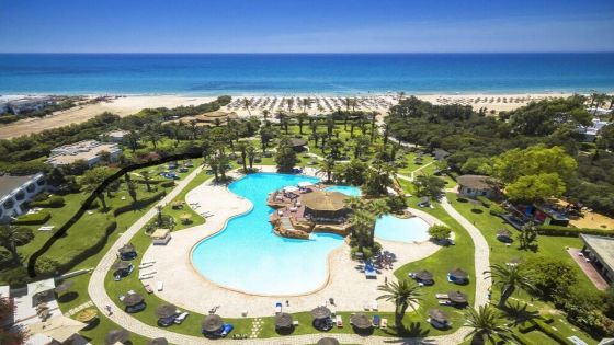 Sentido Phenicia Superior