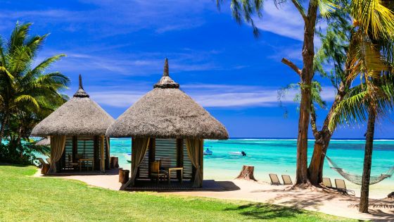 Оферти Занзибар